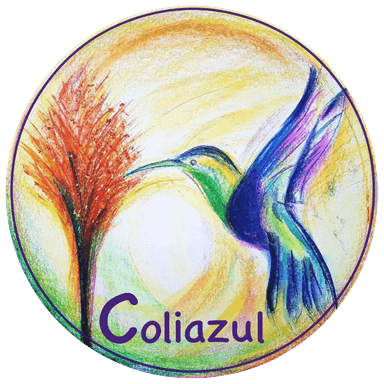 Coliazul Community Project