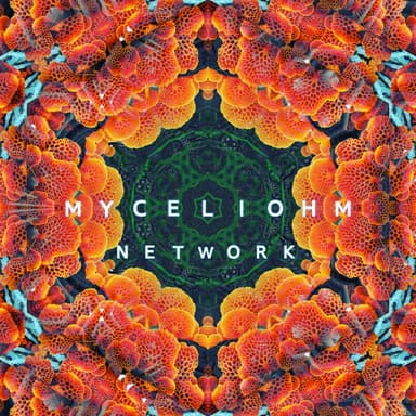 MyceliOhm Network