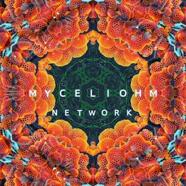 MyceliOhm Network