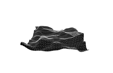 Luis Negron van Grieken