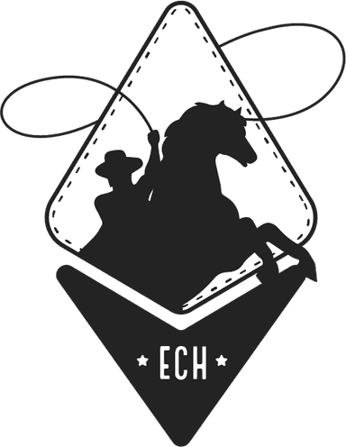 ECH Institute Inc